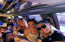 Single Activity Limo Tour -- Lamanai Mayan Cave Adventure