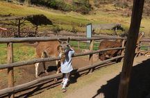 Sacred Valley & Machu Picchu 2 Day Tour From Cusco 2022