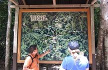 Tikal Tour From Flores, airport and Tikal hotels in Guatemala 