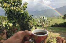 Private Half-Day Coffee Tour at Family Farm Close to Medellín!
