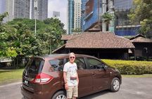 Kuala Selangor Fireflies Evening River Cruise from Kuala Lumpur