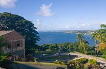 Tobago Island Tour
