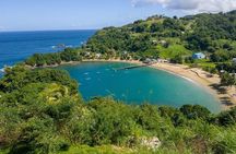 Tobago Island Tour