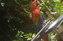 Rockland Bird Sanctuary Tour [Transportation] Hotel Pick-Up