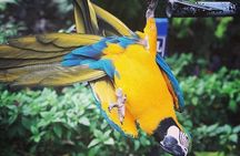 Rockland Bird Sanctuary Tour [Transportation] Hotel Pick-Up