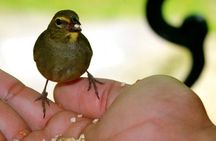 Rockland Bird Sanctuary Tour [Transportation] Hotel Pick-Up