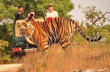 5 Days Golden Triangle Tour with Ranthambore Delhi, Agra, Jaipur