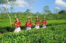 Private Tour: 5 Days - Bangladesh Nature & Culture Tour - North-eastern part