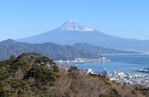 Private sightseeing tour from Shimizu Port / Van Taxi