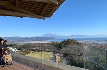 Private sightseeing tour from Shimizu Port / Van Taxi