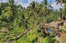 All Inclusive Ubud Experience