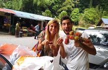 Amazing Cameron Highland Day Tour From Kuala Lumpur 