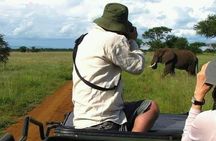 3 Days Tanzania Safari - Tarangire, Ngorongoro, Manyara