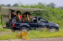 Chobe Full Day Trip