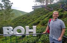 Amazing Cameron Highland Day Tour From Kuala Lumpur 