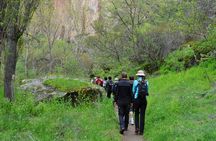 Green Cappadocia Underground City and Valleys Tour. Lunch incl.