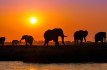 Chobe Full Day Trip