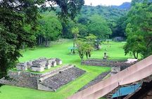 Copan Archeological Site and Macaw Mountain Park 