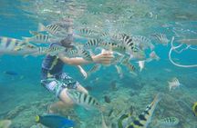 Blue Lagoon & Tanjung Jepun Snorkeling Private Tour