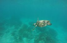 Blue Lagoon & Tanjung Jepun Snorkeling Private Tour