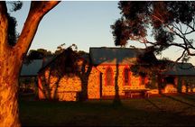 McLaren Vale North Hop-On Hop-Off Winery Tour from Adelaide