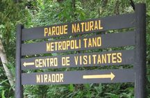 Guided hike in the Metropolitan Park of Panama