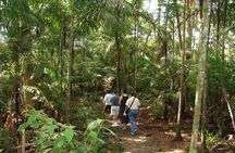 Guided hike in the Metropolitan Park of Panama