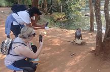 Adventure trincomalee to sigiriya and wild safari ,village tour 