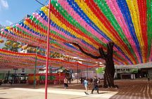 Korean Palace and Temple Tour in Seoul: Gyeongbokgung Palace and Jogyesa Temple
