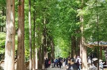 Winter Sonata TV Tour on Nami Island from Seoul