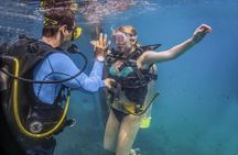 Scuba Diving with a 5-Star PADI Center in Puerto Vallarta