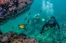 Los Arcos Scuba Dive with a 5-Star PADI Center in Puerto Vallarta