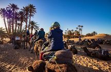 Camel Ride Experience in Agadir with Hassle-Free Transfers.