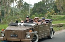 Visit Rice terrace, Beratan temple, waterfall by Vantage Volkswagen 181