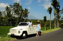 Visit Rice terrace, Beratan temple, waterfall by Vantage Volkswagen 181