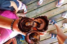 Authentic Polynesian Experience 