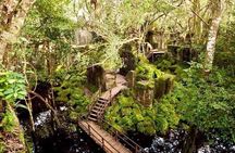 2-Day Angkor Sunrise Temple of Angkor -Siem Reap Tour 