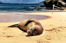 Kailua Bay, Oahu: Epic Kayak and Snorkel to Islands with Lunch