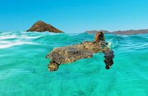 Kailua Bay, Oahu: Epic Kayak and Snorkel to Islands with Lunch