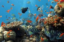 The Best 2-point Snorkeling in Padangbai: Blue lagoon and Tanjung jepun