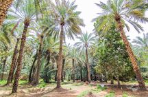 Al Ain City Sightseeing tour with Lunch from Dubai