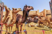 Al Ain City Sightseeing tour with Lunch from Dubai
