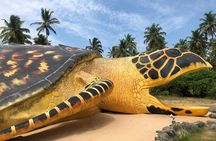 Galle Day Tour 