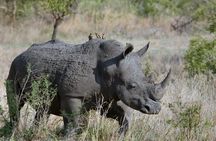 12 Days Kenya Tanzania wildlife Joining Tour 