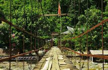 Bukit Lawang Full Day Jungle Trek
