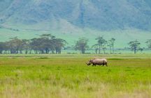 Spotting Africa Big Five (5) animals.