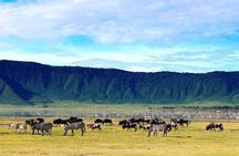 Adventure in the Rift-valley