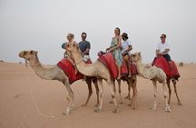 Classic Dubai Desert Safari with BBQ Dinner and Camp activities
