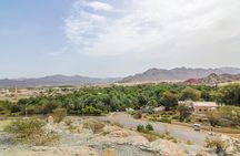 4x4 Hatta Safari to Fossil Rock & Honey Bee Garden visit with Breakfast