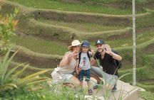 Trekking and Sightseeing tour with lunch 